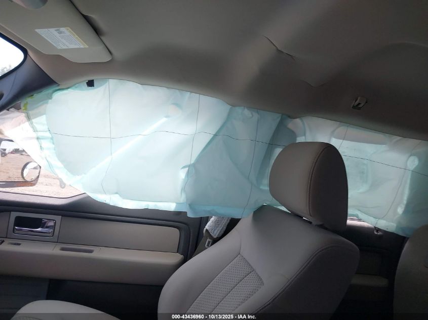 2010 Ford F-150 Fx2 Sport/Xl/Xlt VIN: 1FTEW1C89AFD04146 Lot: 43436960