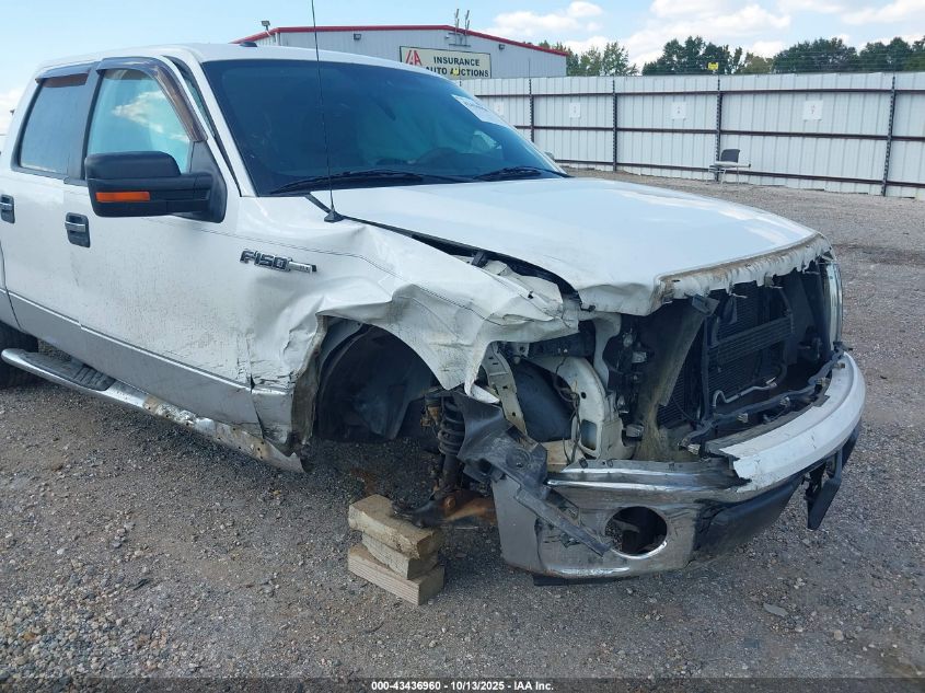 2010 Ford F-150 Fx2 Sport/Xl/Xlt VIN: 1FTEW1C89AFD04146 Lot: 43436960