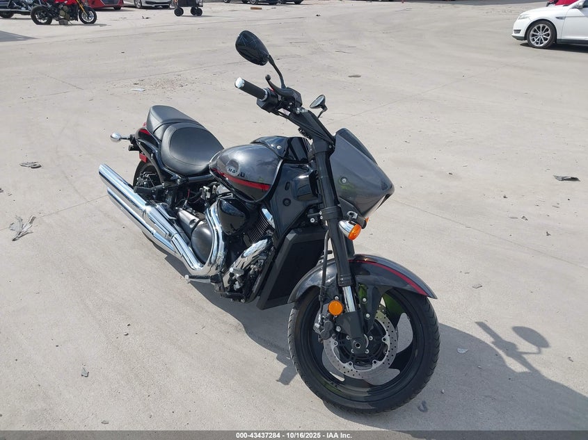 2019 Suzuki Vz1500