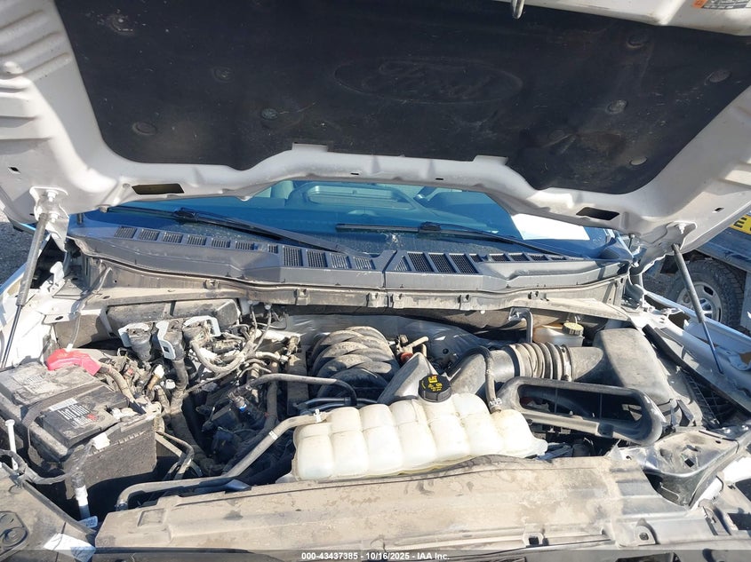 2024 Ford F-150 Xlt VIN: 1FTFW3L51RKE98955 Lot: 43437385