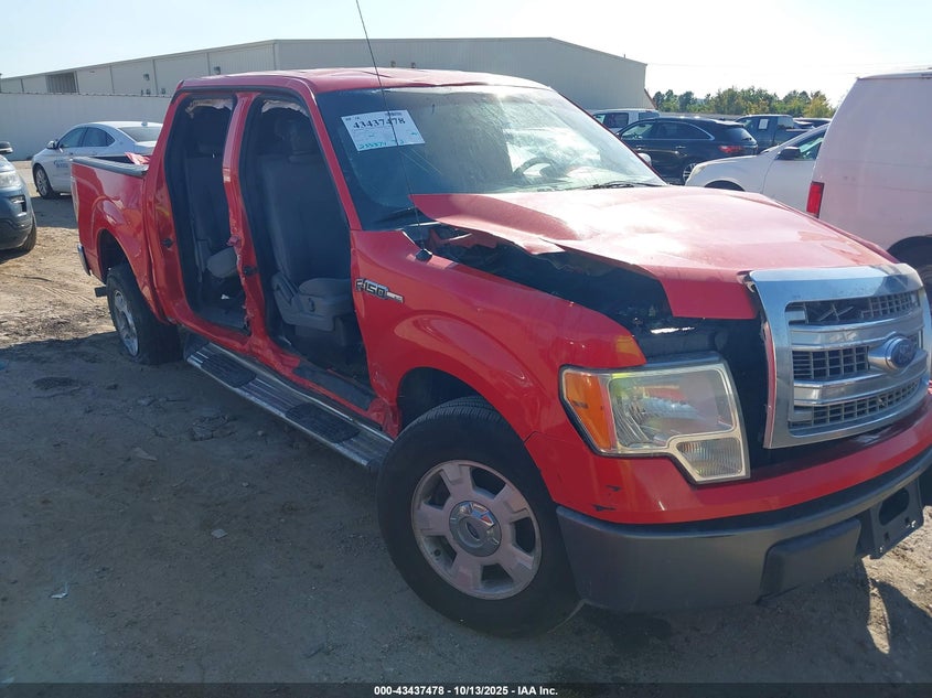 FORD F-150 XLT