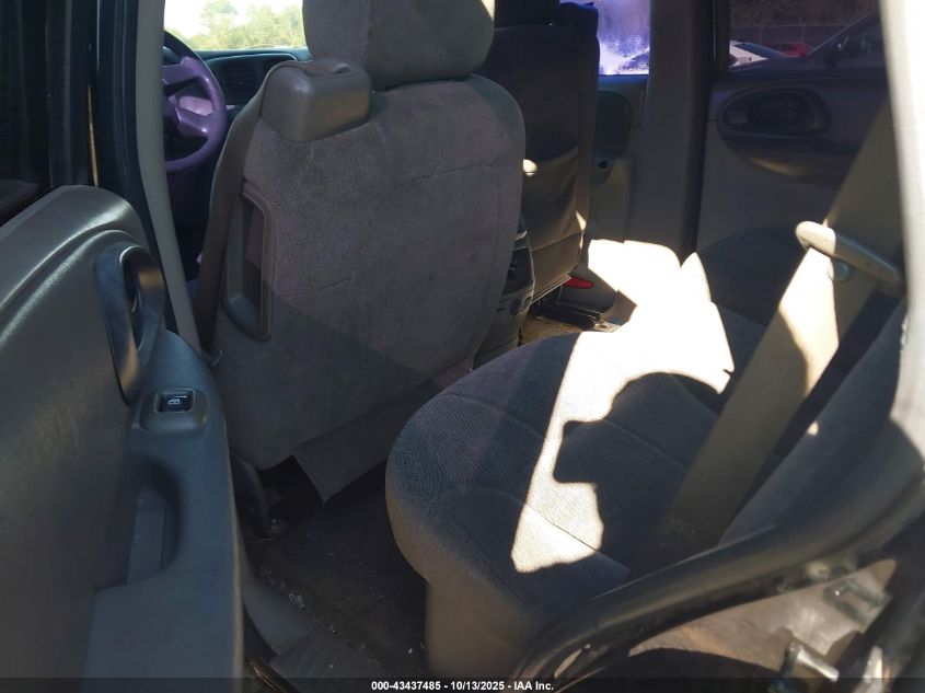 2004 Chevrolet Trailblazer Ls VIN: 1GNDS13S442134834 Lot: 43437485