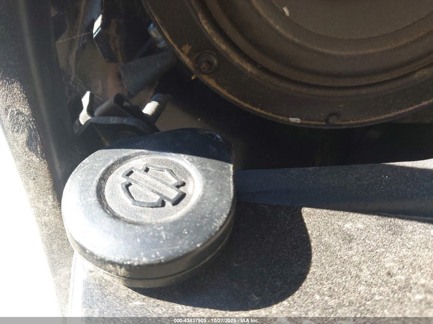 2019 Harley-Davidson Fltru VIN: 1HD1KGF1XKB658454 Lot: 43437905