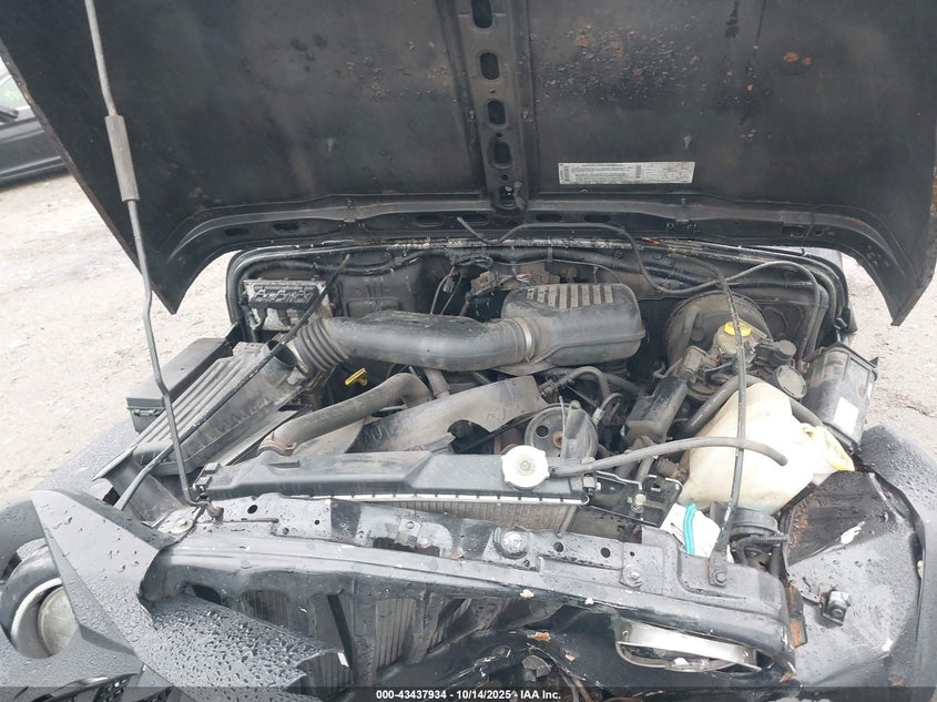 2002 Jeep Wrangler Se VIN: 1J4FA29P42P755725 Lot: 43437934