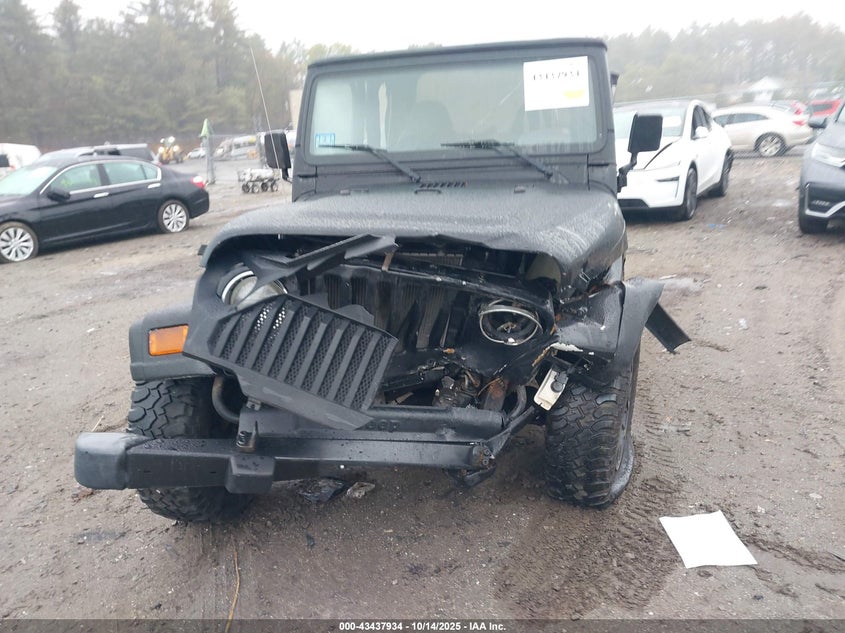 2002 Jeep Wrangler Se VIN: 1J4FA29P42P755725 Lot: 43437934