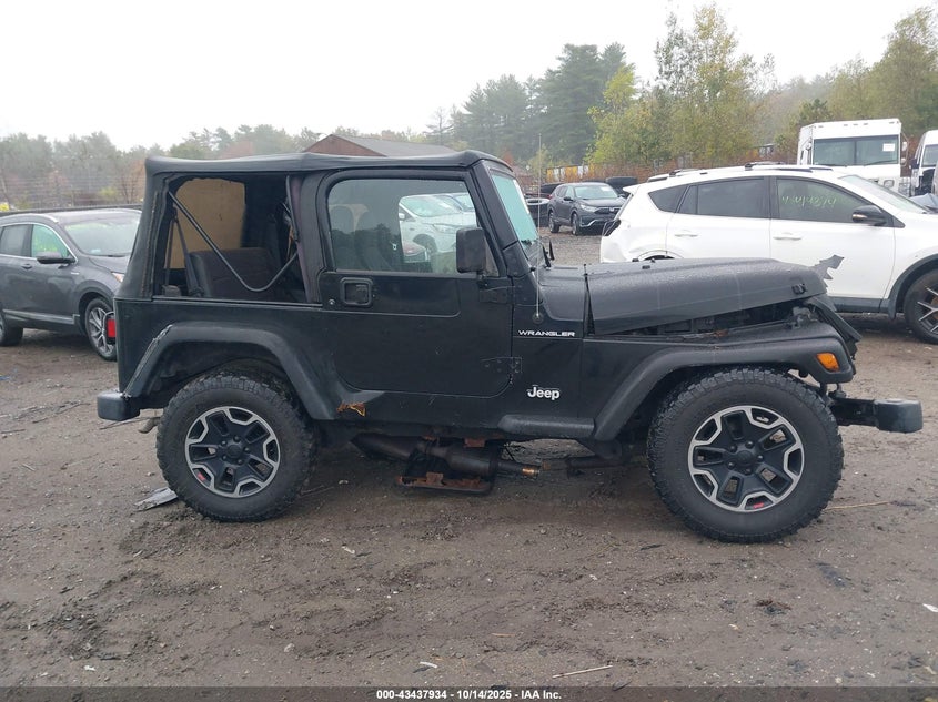 2002 Jeep Wrangler Se VIN: 1J4FA29P42P755725 Lot: 43437934