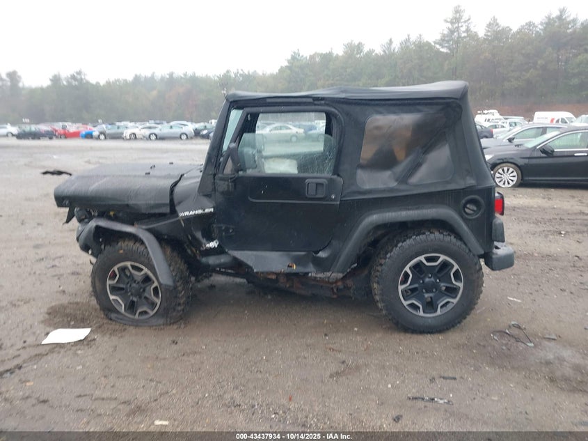 2002 Jeep Wrangler Se VIN: 1J4FA29P42P755725 Lot: 43437934
