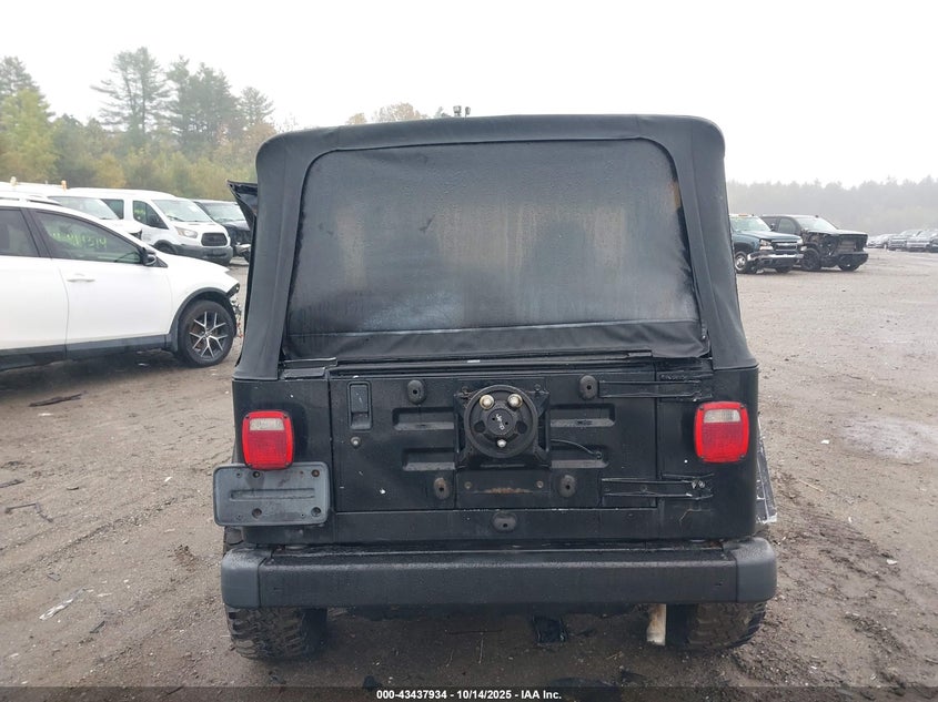 2002 Jeep Wrangler Se VIN: 1J4FA29P42P755725 Lot: 43437934