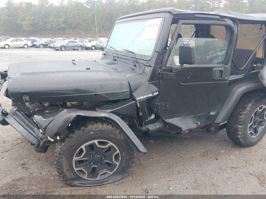 2002 Jeep Wrangler Se VIN: 1J4FA29P42P755725 Lot: 43437934