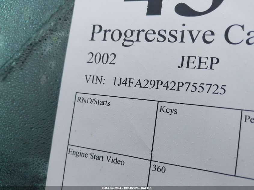 2002 Jeep Wrangler Se VIN: 1J4FA29P42P755725 Lot: 43437934