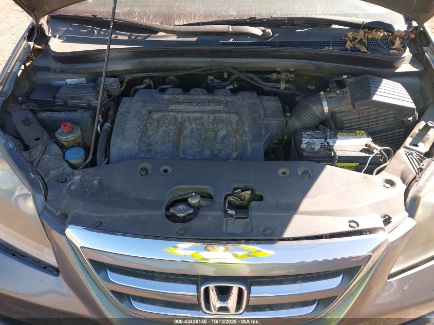 2007 Honda Odyssey Ex-L VIN: 5FNRL38677B416714 Lot: 43438146