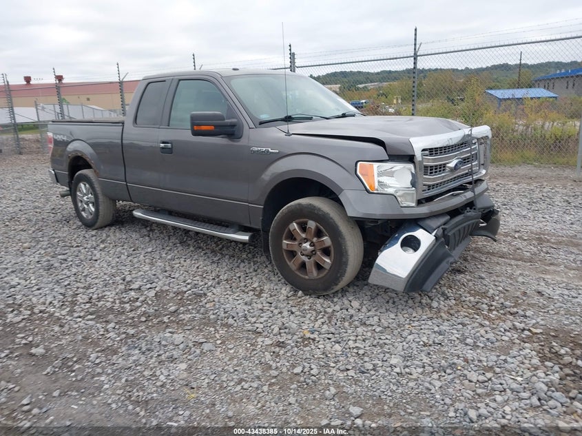 1FTFX1EF0DKG43340 2013 Ford F-150 Xlt auction photo 1