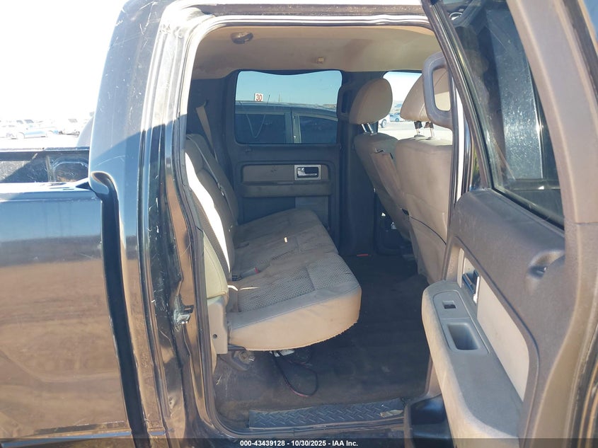 2010 Ford F-150 VIN: 1FTEW1C80AKA23294 Lot: 43439128