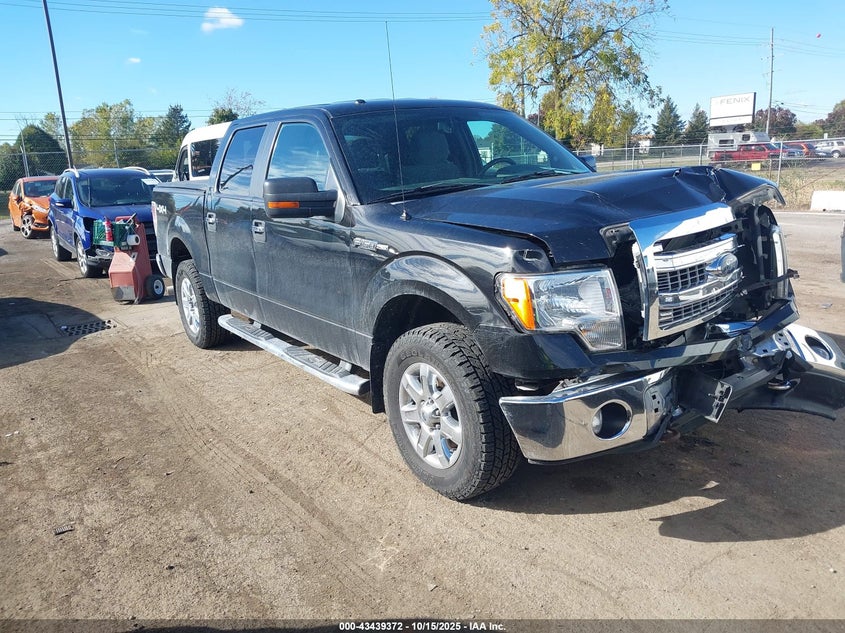 FORD F-150 XLT