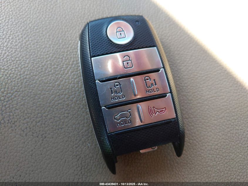 2017 Kia Sedona Ex VIN: KNDMC5C15H6259358 Lot: 43439431