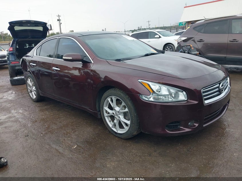 NISSAN MAXIMA 3.5 SV