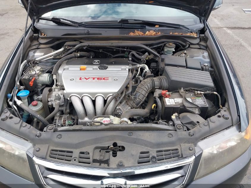 2008 Acura Tsx VIN: JH4CL96808C008209 Lot: 43440233