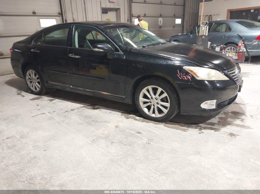 LEXUS ES 350 ES 350