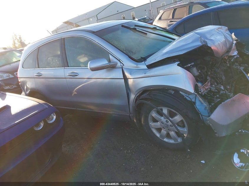 2009 Honda Cr-V Ex-L VIN: 5J6RE48709L050114 Lot: 43440525