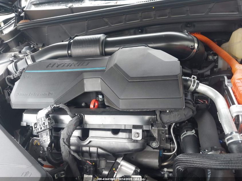 2025 Hyundai Tucson Hybrid Sel Convenience VIN: KM8JCDD11SU379376 Lot: 43441666