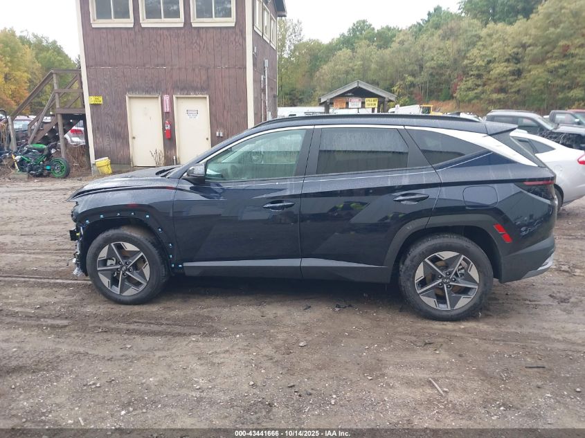 2025 Hyundai Tucson Hybrid Sel Convenience VIN: KM8JCDD11SU379376 Lot: 43441666