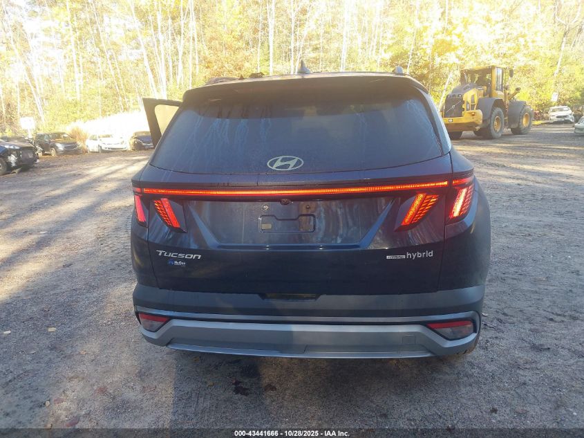 2025 Hyundai Tucson Hybrid Sel Convenience VIN: KM8JCDD11SU379376 Lot: 43441666