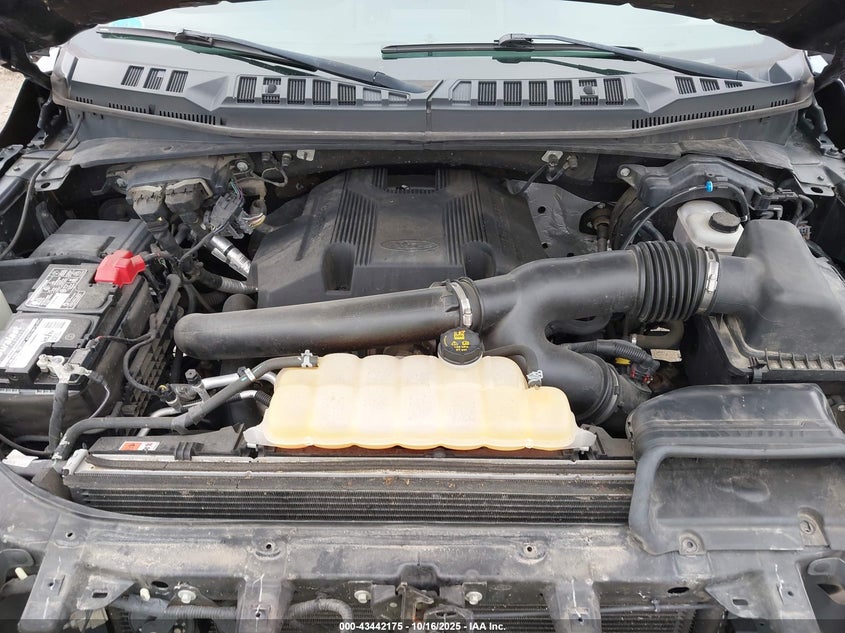 2019 FORD F-150 XLT 1FTEW1E43KFA09765