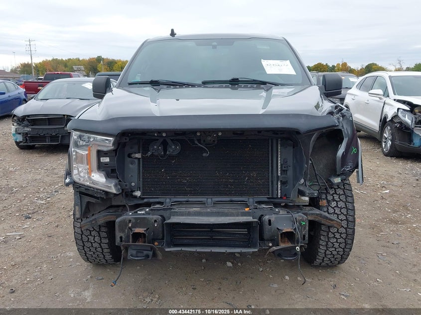 2019 FORD F-150 XLT 1FTEW1E43KFA09765