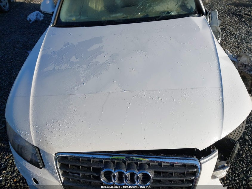 2009 Audi A4 2.0T Premium VIN: WAUSF78K99N037566 Lot: 43442323