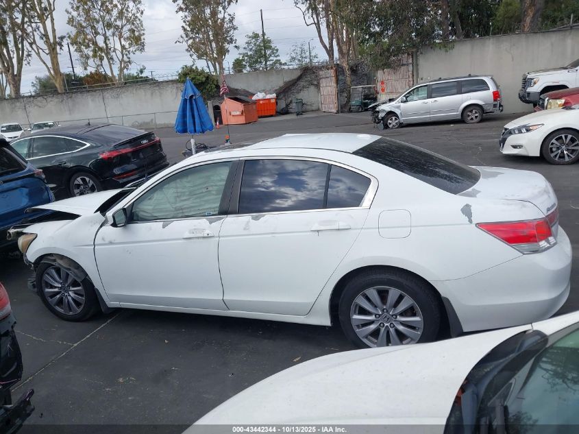 2011 Honda Accord 2.4 Ex-L VIN: 1HGCP2F80BA009541 Lot: 43442344
