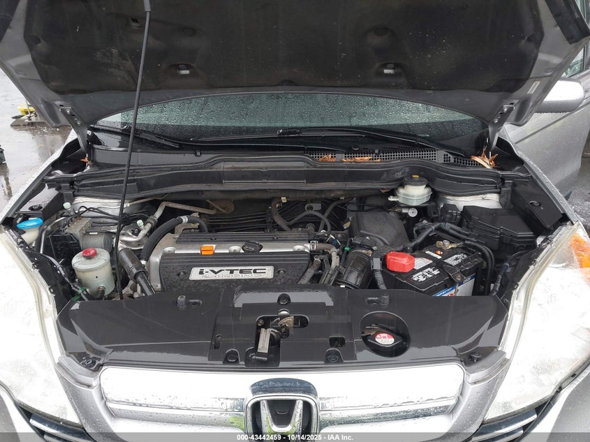 2007 Honda Cr-V Ex-L VIN: JHLRE38727C053709 Lot: 43442459