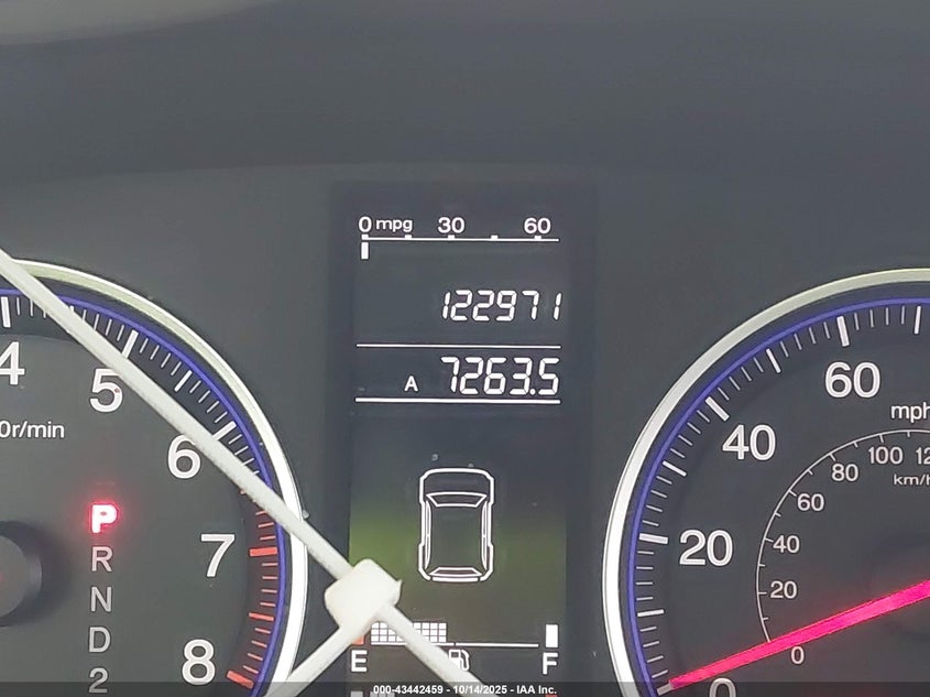 2007 Honda Cr-V Ex-L VIN: JHLRE38727C053709 Lot: 43442459