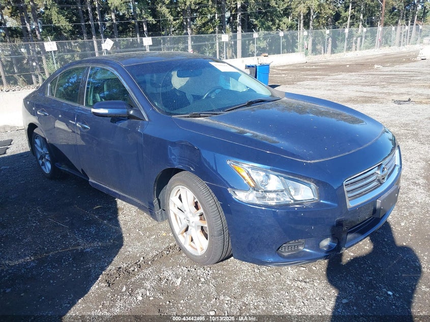 NISSAN MAXIMA 3.5 SV