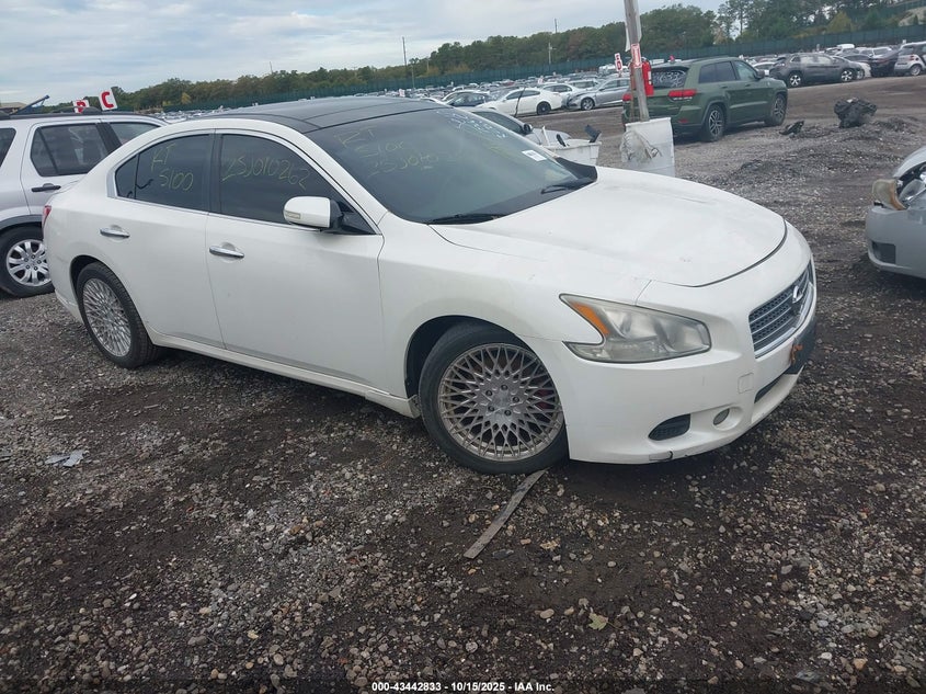 NISSAN MAXIMA 3.5 SV