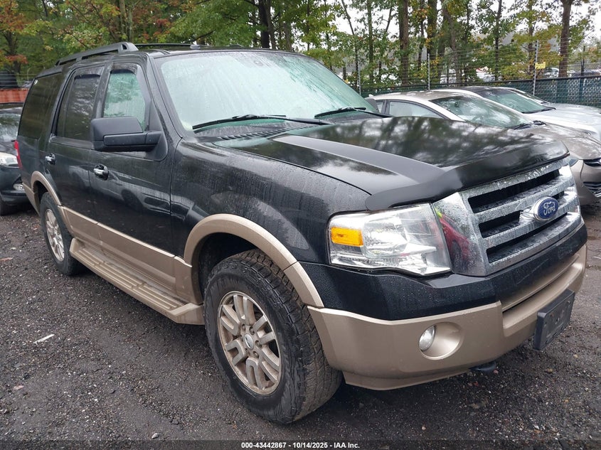 FORD EXPEDITION XLT