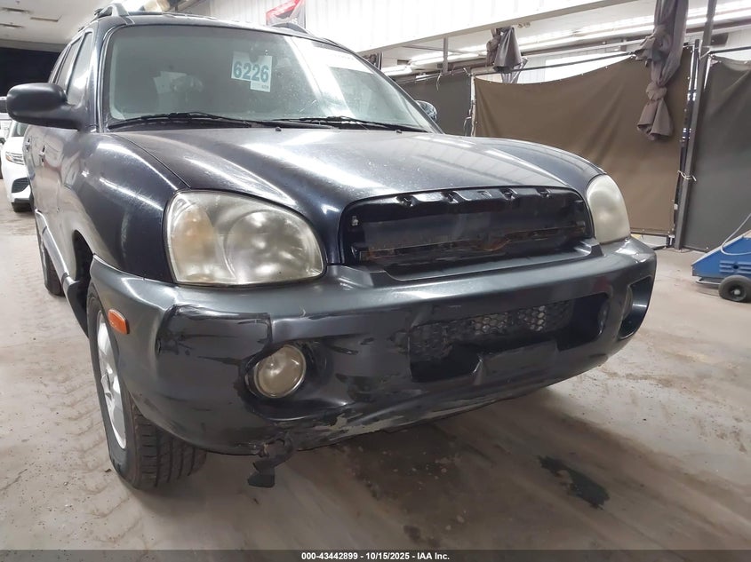 KM8SC73E05U997755 2005 HYUNDAI SANTA FE photo no. 6