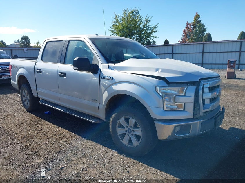 FORD F-150 XLT