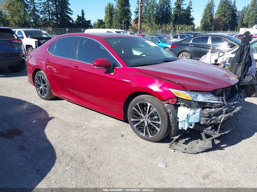 TOYOTA CAMRY HYBRID XLE HYBRID