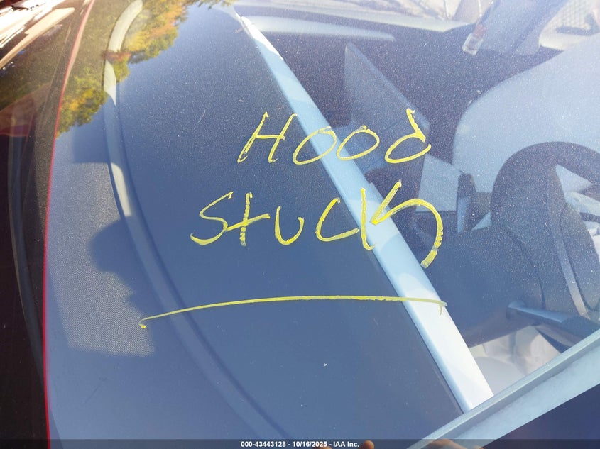 2025 Tesla Model Y Long Range Dual Motor All-Wheel Drive VIN: 7SAYGDEE6SA347587 Lot: 43443128