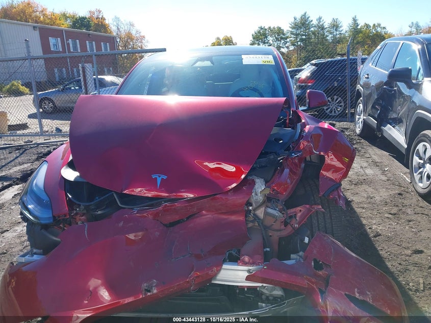2025 Tesla Model Y Long Range Dual Motor All-Wheel Drive VIN: 7SAYGDEE6SA347587 Lot: 43443128