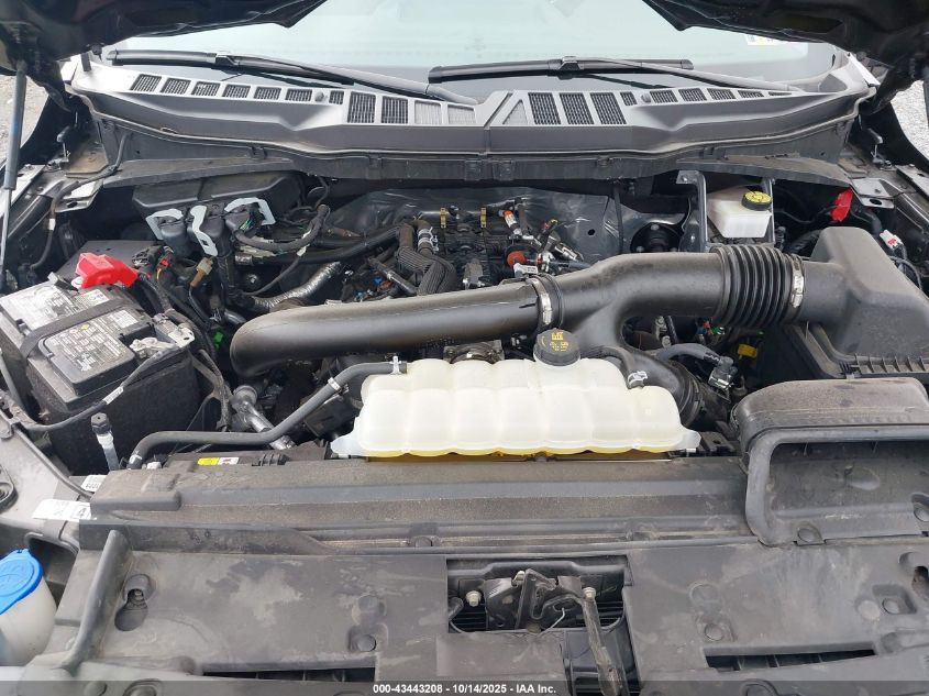 2024 Ford F-150 Xl VIN: 1FTNF1L86RKD12210 Lot: 43443208