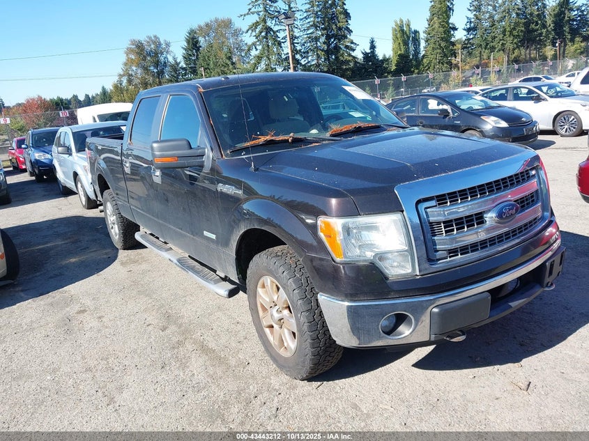 2013 FORD F-150 XLT - 1FTFW1ET5DFA82005