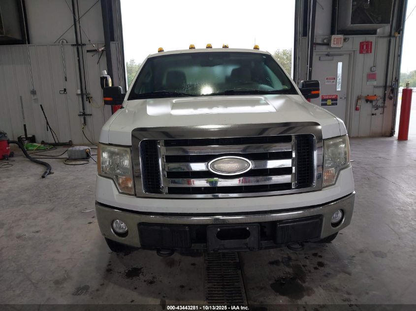 2009 Ford F-150 Xlt VIN: 1FTPW14V89FA17521 Lot: 43443281