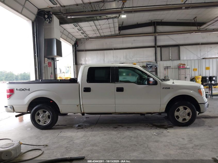 2009 Ford F-150 Xlt VIN: 1FTPW14V89FA17521 Lot: 43443281