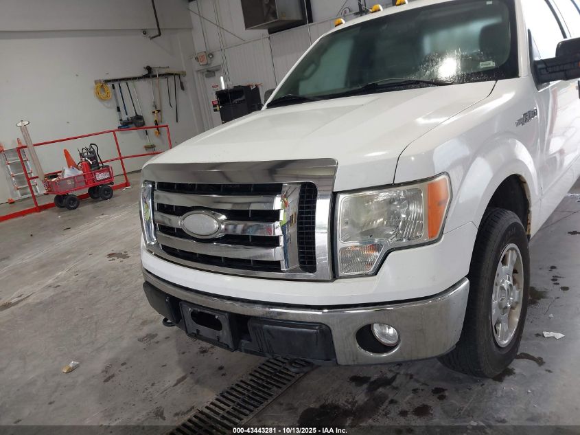 2009 Ford F-150 Xlt VIN: 1FTPW14V89FA17521 Lot: 43443281