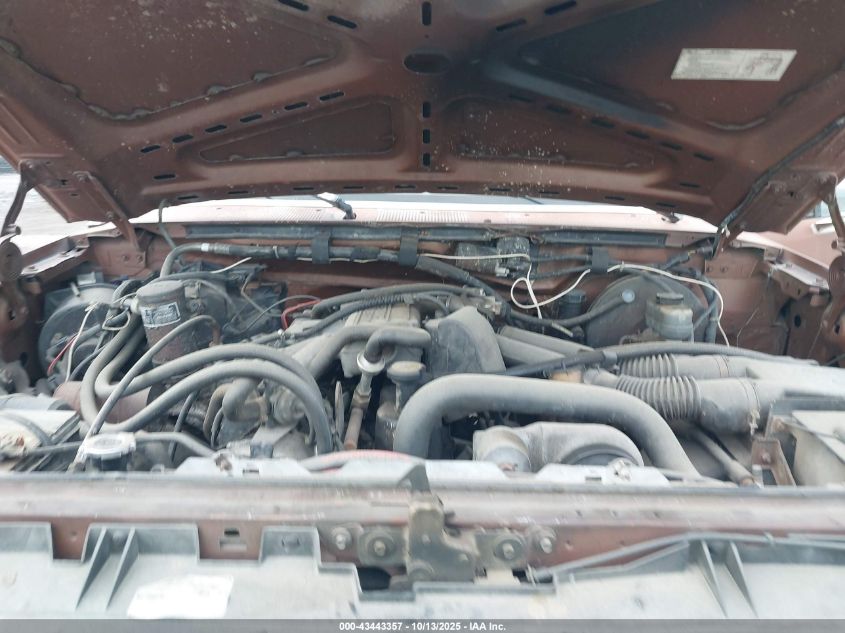 1991 Ford F150 VIN: 1FTDF15Y9MNA97373 Lot: 43443357