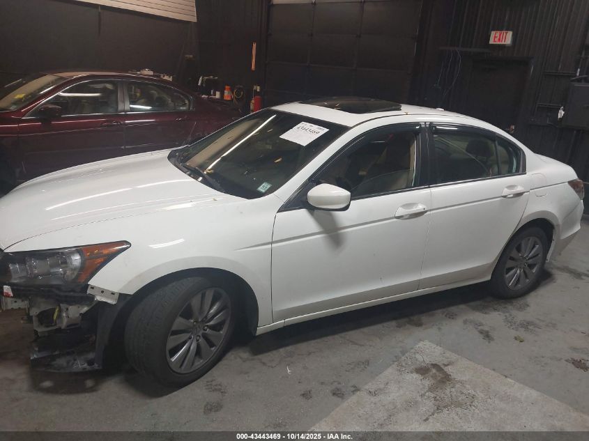 2011 Honda Accord 2.4 Ex-L VIN: 1HGCP2F80BA126245 Lot: 43443469