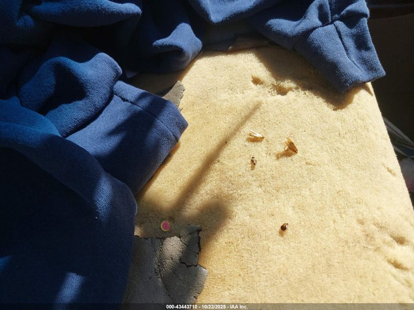 2004 Toyota Sequoia Limited V8 VIN: 5TDZT38A74S231588 Lot: 43443710