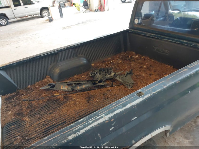 1993 Ford F150 VIN: 1FTEF15YXPNB05862 Lot: 43443812