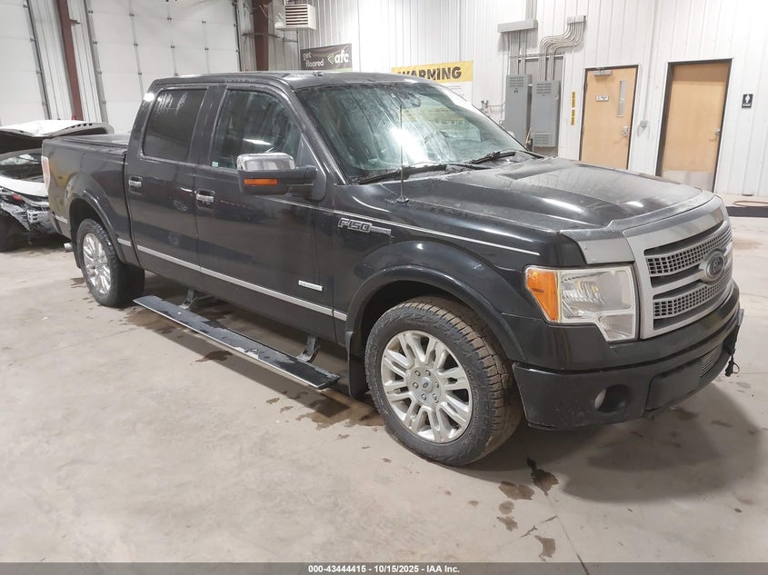 FORD F-150 PLATINUM